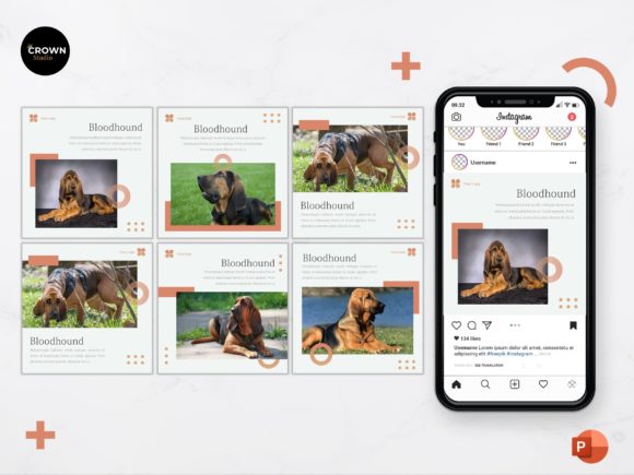 Download Instagram Feed Template -  Bloodhound - Premium Bundle