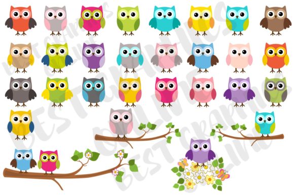 Download Owl Clipart, Owl Cute Owls Graphics Set - Graphics set Collection