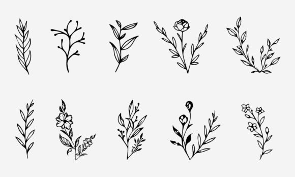 Download Flower Line Drawing Vector Illustration - Vector Collection