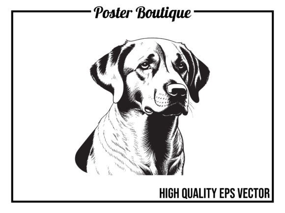 Download Labrador Dog Vector EPS - Vector Collection