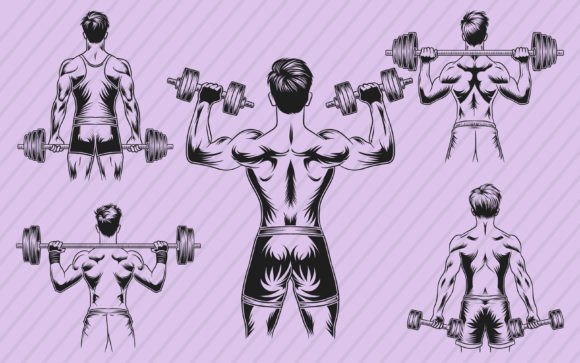 Download Gym Fitness Vector Illustration Graphics - Vector Collection